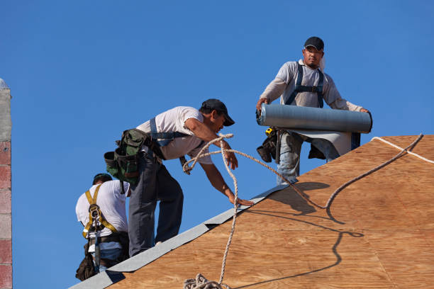 Best Roof Gutter Cleaning  in Rolesville, NC