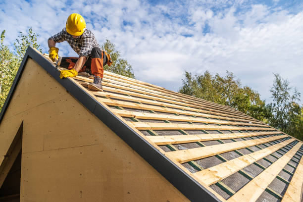 Best Local Roofing Companies  in Rolesville, NC